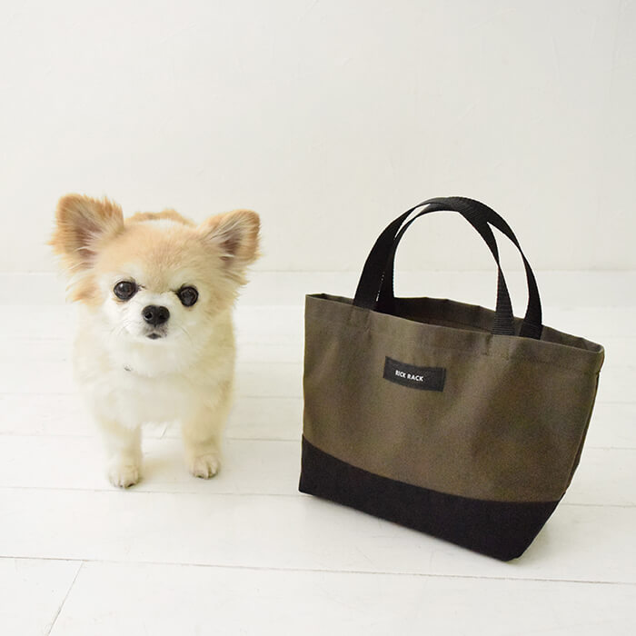 ラミネートでつくる　おさんぽバッグ